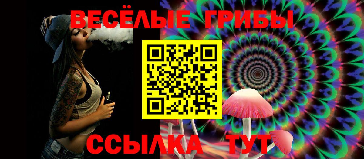 как найти   Галлюциногенные грибы Psilocybine cubensis  Вход с VPN  Королёв 