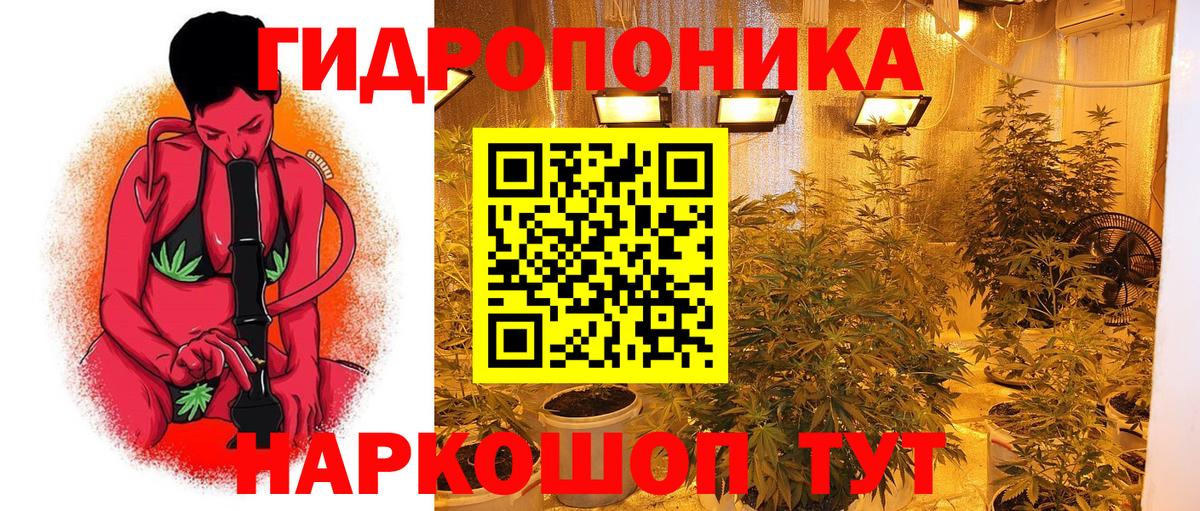 Шишки марихуана Ganja  Бошки марихуана тримм  Бошки Шишки сатива  Королёв  Вход с VPN 